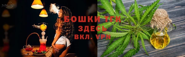 прущие грибы Ачинск