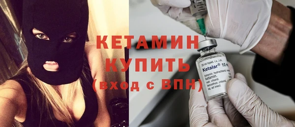 твердый Бердск
