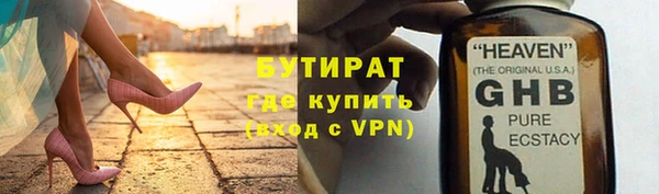 твердый Бердск