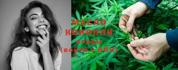 твердый Бердск