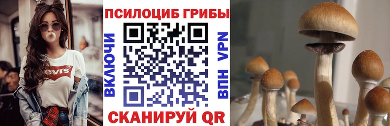площадка формула  Щёлкино  Псилоцибиновые грибы Magic Shrooms 